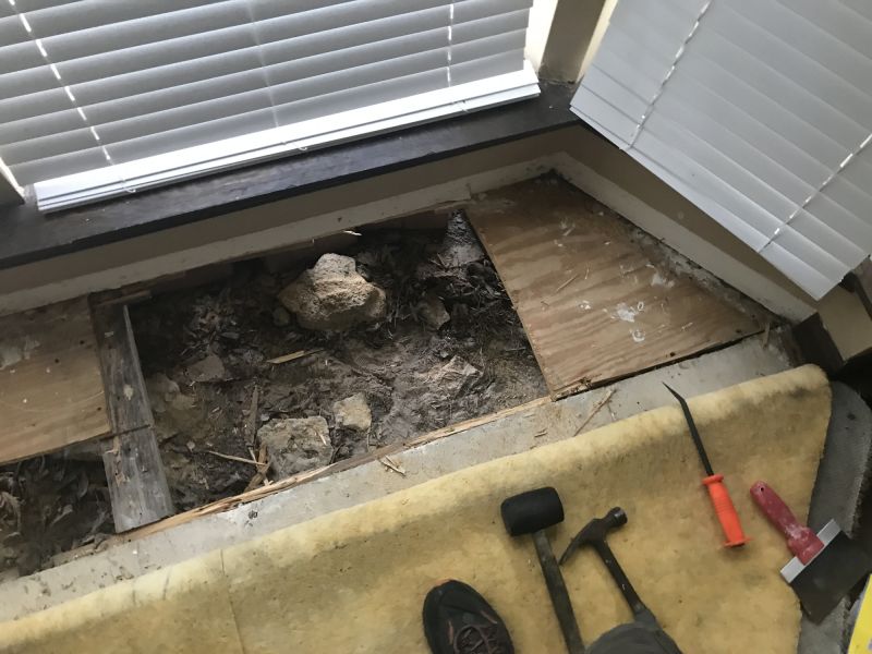 Subfloor Replacement detail